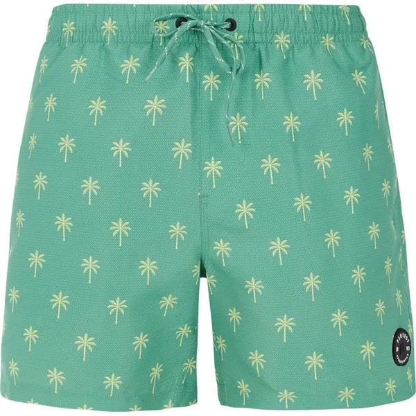 Шорты для плавания Protest Alvis Swimming Shorts, зеленый