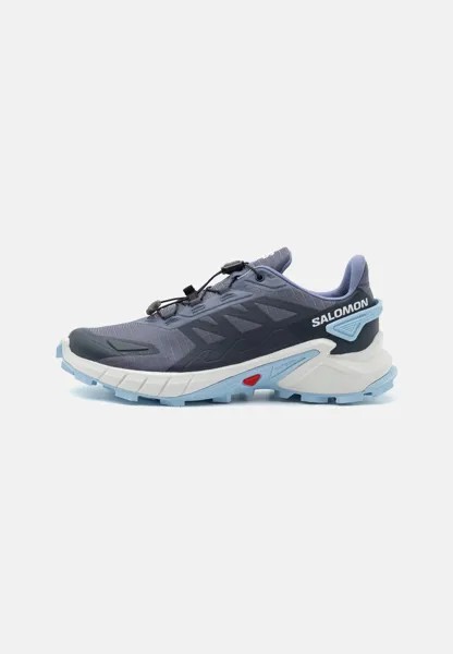 Кроссовки для бега по пересеченной местности SUPERCROSS 4 Salomon, цвет grisaille/white/blue