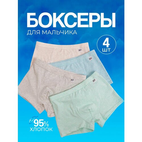 Трусы WS, 4 шт., размер L, голубой