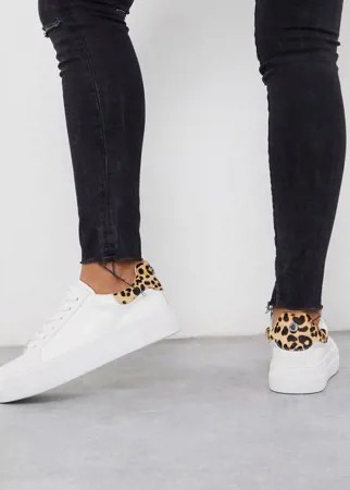 Белые кроссовки с леопардовой отделкой Steve Madden-Белый