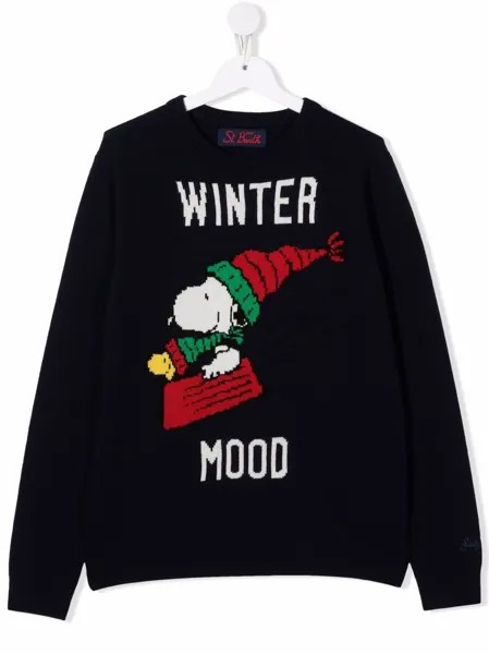 MC2 Saint Barth Kids джемпер Douglas Winter Mood
