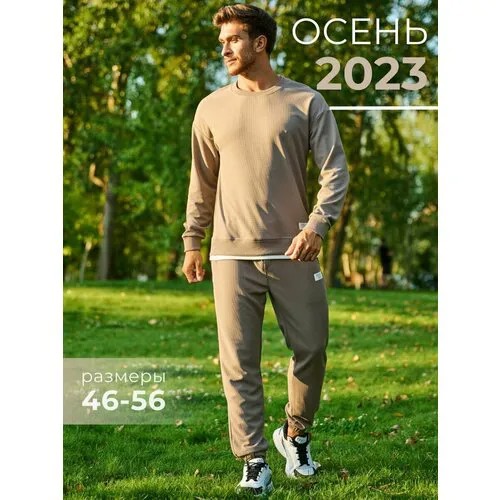 Костюм PRO ACTIVE, толстовка и брюки, свободный силуэт, карманы, размер 48, коричневый