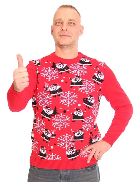 Джемпер мужской 202-12249 VAY красный 46 RU
