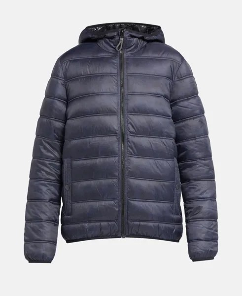 Зимняя куртка Q/S designed by, синий