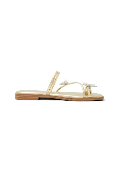 Шлепанцы STRAPPY GLASSWING ALDO, золото