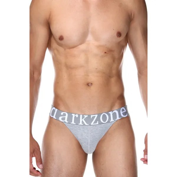 Трусы мужские DARKZONE DZN6153 серые XL