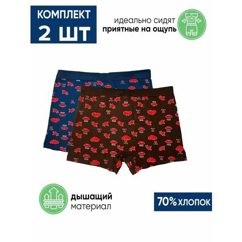 Трусы , размер XXXXL, синий, коричневый