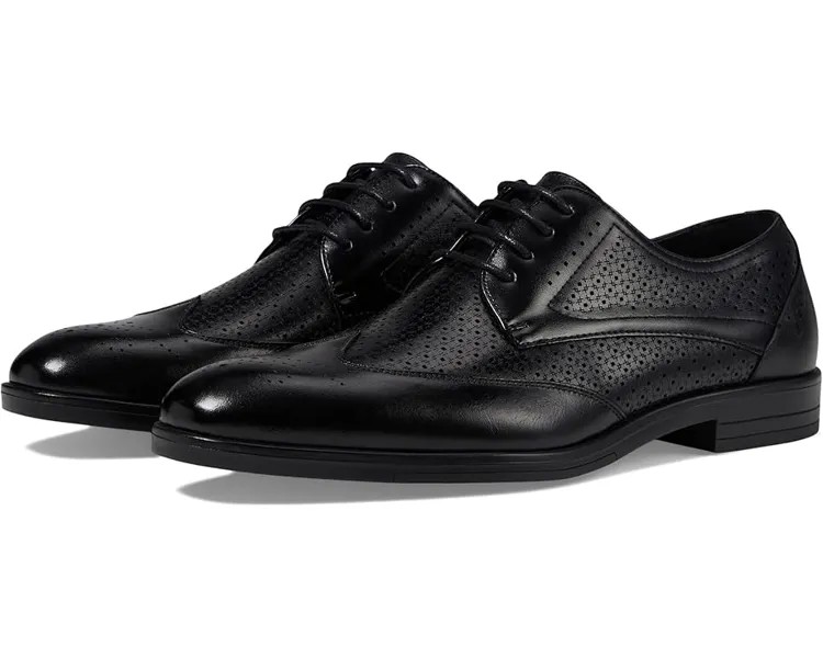 Оксфорды Stacy Adams Asher Wingtip Lace Oxford, черный