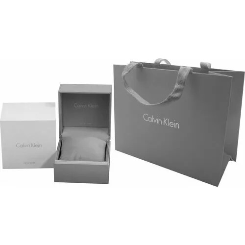 Наручные часы CALVIN KLEIN, серебряный