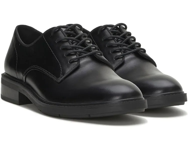 Оксфорды Vince Camuto Ferdie Oxford, черный