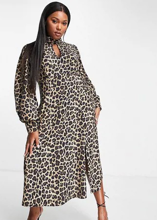 Платье мидакси с вырезом-каплей и звериным принтом ASOS DESIGN Curve-Разноцветный