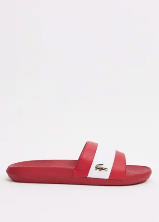 Красные шлепанцы с золотистым логотипом-крокодилом Lacoste-Красный