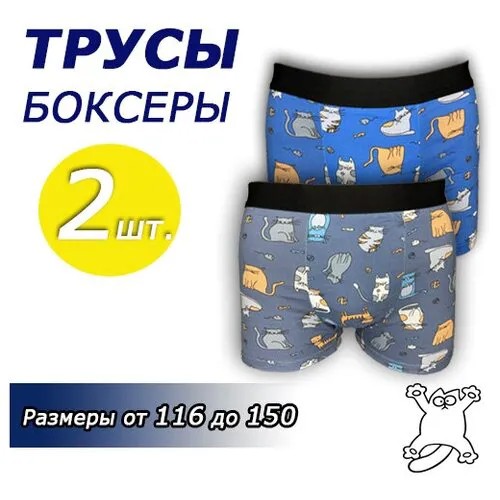 Трусы , 2 шт., размер 4/6, синий, черный