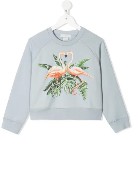 Stella McCartney Kids толстовка из органического хлопка с принтом