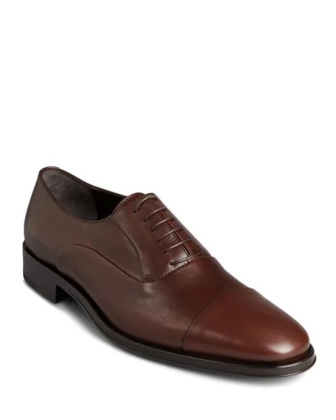 Мужские оксфорды Maioco Cap Toe Bruno Magli