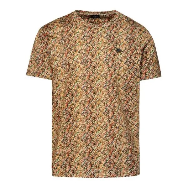 Футболка ed cotton t-shirt Etro, мультиколор