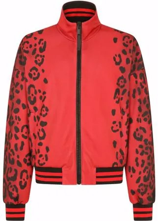 Dolce & Gabbana бомбер с леопардовым принтом