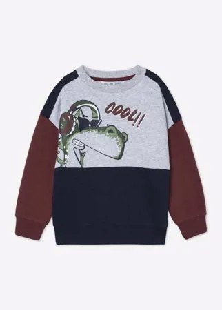 Свитшот колор-блок с принтом Cool для мальчика Gloria Jeans