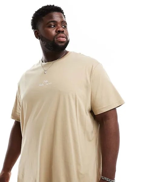 Светлая футболка оверсайз классического кроя с центральным логотипом Polo Ralph Lauren Big & Tall