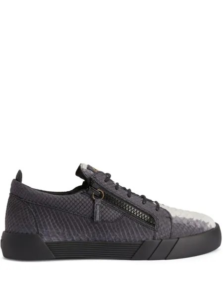 Giuseppe Zanotti кеды Frankie с принтом, черный