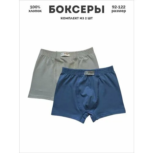 Трусы  ELEPHANT KIDS, размер 98-104, серый, синий
