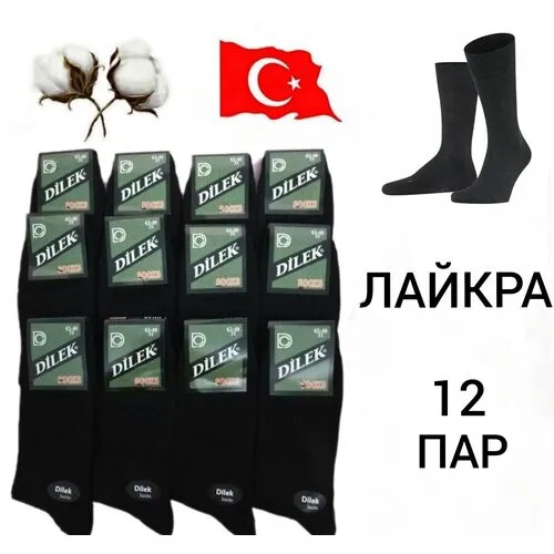 Мужские носки DILEK Socks, 12 пар, размер 43-46, черный