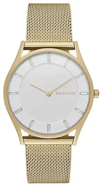 Наручные часы  женские Skagen SKW2377