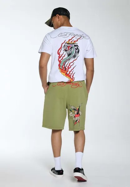 Спортивные брюки True Till Death Ed Hardy, зеленый