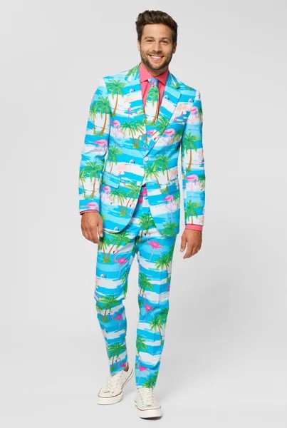 Костюм FLAMINGUY OppoSuits, цвет miscellaneous