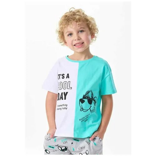 Фуфайка (футболка) детская для мальчиков колор-блок SS22C47201426