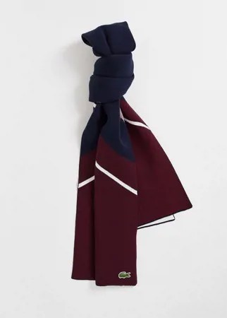 Бордовый и темно-синий шарф Lacoste