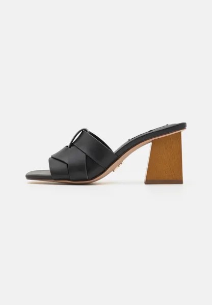 Высокие мюли AMSTERDAM Steve Madden, цвет black