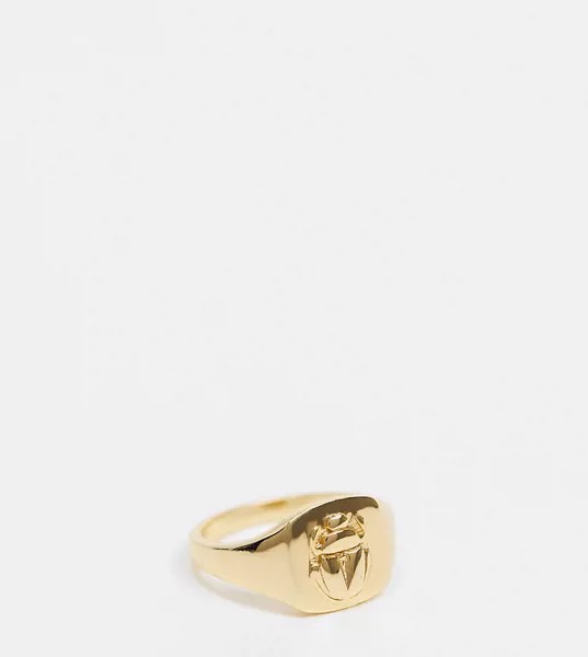 Золотистое кольцо-печатка с гравировкой скарабея Serge DeNimes-Золотистый