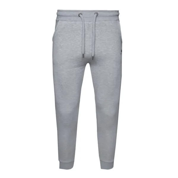 Спортивные брюки Alpha Industries Basic SL Polar, серый