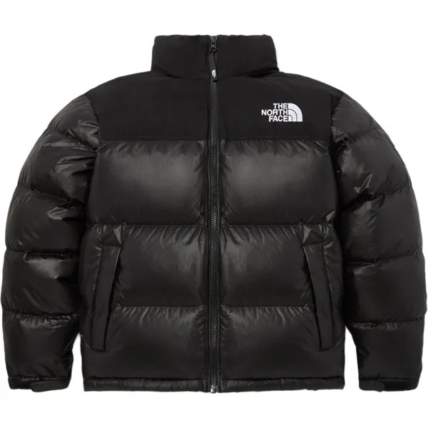 Коллекция Apparel Down Jacket Men Black The North Face, черный