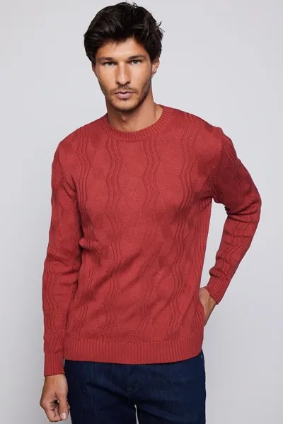 Мужской приталенный красный свитер с круглым вырезом с рисунком TUDORS