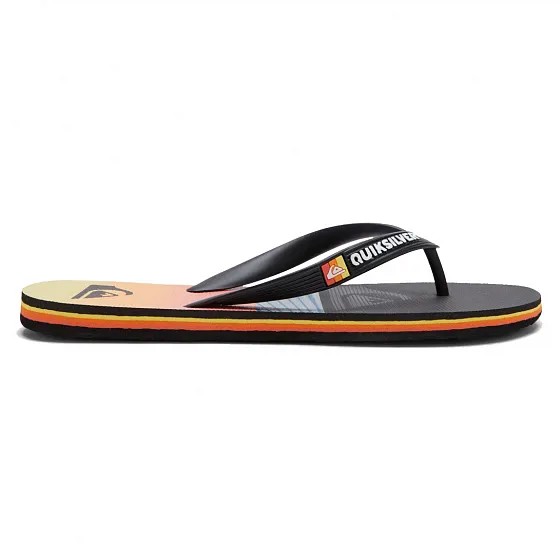 Шлепанцы Quiksilver