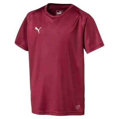 Футбольная майка Puma Liga Core с коротким рукавом и V-образным вырезом для юношей, красная 703542-09