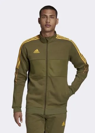 Зимняя олимпийка Tiro adidas Sportswear