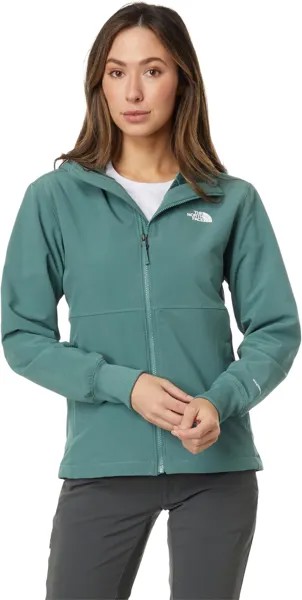 Толстовка Shelbe Raschel Hoodie The North Face, цвет Dark Sage