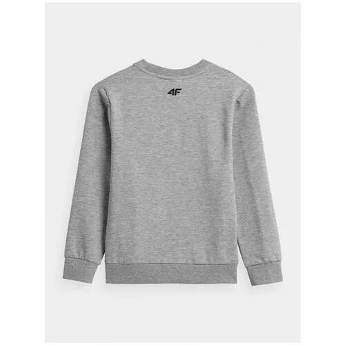 Лонгслив 4F BOY'S LONGSLEEVES Дети HJZ21-JTSML003A-25M 146