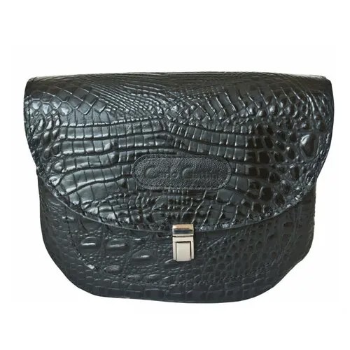 Carlo Gattini Amendola 8003-01 Черный Black