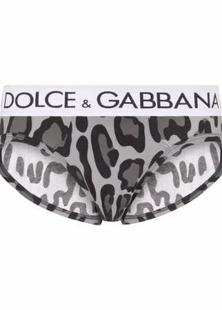 Dolce & Gabbana трусы-брифы с леопардовым принтом