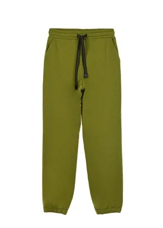 Зеленые спортивные брюки Dan Maralex
