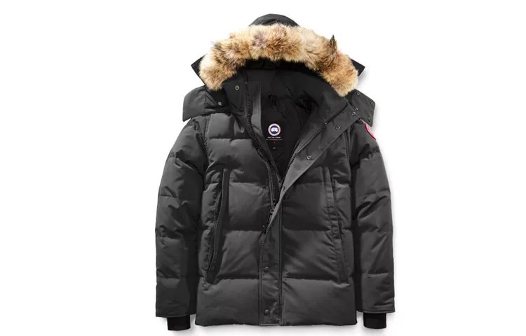 Мужской пуховик Canada Goose, серый