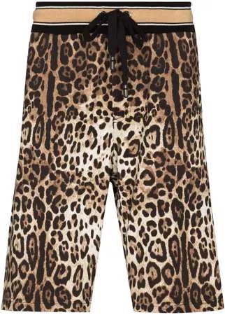 Dolce & Gabbana спортивные шорты с леопардовым принтом