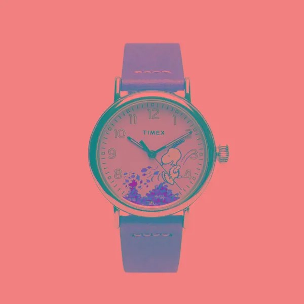 Наручные часы Timex