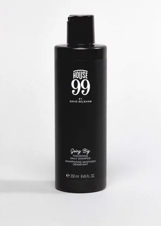 Шампунь для ежедневного применения House 99 Going Big - 250 мл-Бесцветный