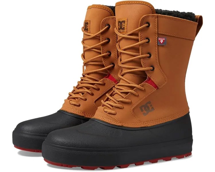 Кроссовки DC Reach, цвет Wheat/Black