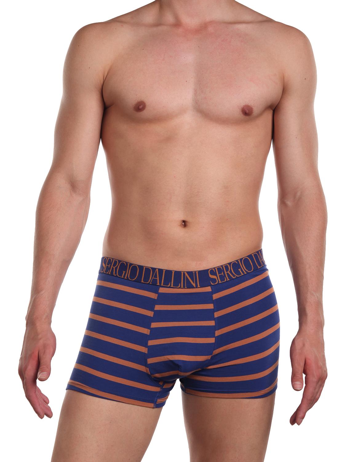 Боксеры мужские Sergio Dallini SG2929-3 синие M